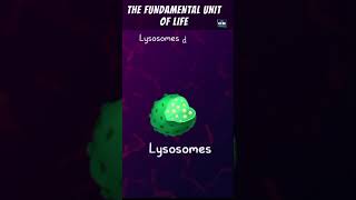 THE FUNDAMENTAL UNIT OF LIFE in 1 Shot  FULL Chapter Animation  ICSE  CBSE  NCERT Science [upl. by Hoo]