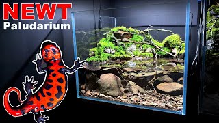 NEWT PALUDARIUM WATERFALL SETUP MOSS amp DETAILS  MD FISH TANKS [upl. by Acirtap]