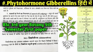 Gibberellins function and Mode of Action in Hindi  BSc 3rd year Zoology 5th Semester 1st Paper [upl. by Tolmann]