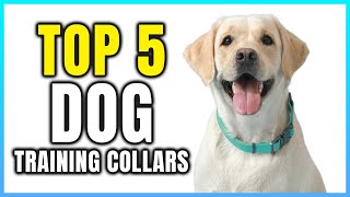 Top 5 Best Dog Training Collars  Extreme Reviewer [upl. by Ahsiner]