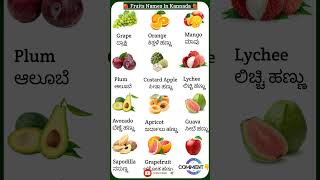 Kannada Fruit Names With English Meaning  fruitnames spokenenglishinkannada viral shorts [upl. by Latisha]