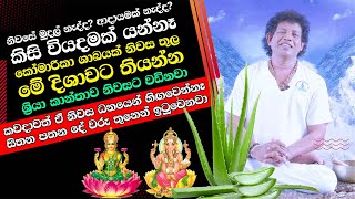 කෝමාරිකා ශාඛයක් නිවස තුල තියන්න  කවදාවත් ඒ නිවස ධනයෙන් හිඟවෙන්නෑ සිතන පතන දේ වරු තුනෙන් ඉටුවෙනවා [upl. by Penni]