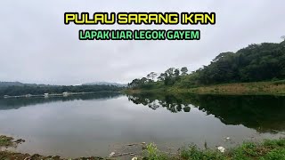 MANCING KESINI SEKALI LEMPAR UMPAN LANGSUNG DI SAMBAR IKAN  LAPAK LIAR LEGOK GAYEM SAGULING [upl. by Shieh392]