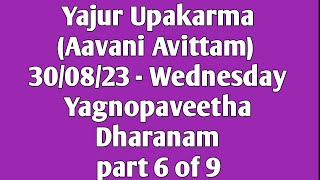 06 Yajur Upakarma  Aavani Avittam 2023  Yagnopaveetha Dharanam  300823 Wednesday  Part 6 of 9 [upl. by Rondon]