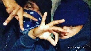 5 Biggest Crip Gangs In Los Angeles [upl. by Cocks]