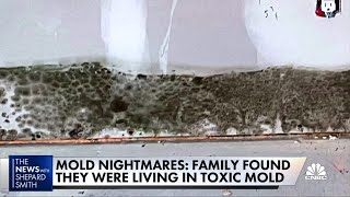 Toxic mold devastates family causes myriad health problems [upl. by Karlotta]