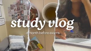 Mini Vlog  Indian Dental PG Student🇮🇳  Study Session📚 Hostel Room [upl. by Annavoeg]