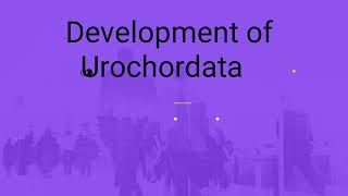 Development of Urochordata herdmania for MSc and BSc life science [upl. by Tutto]