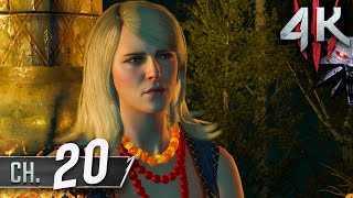 The Witcher 3 Wild Hunt 4K60fps 100 Death March Part 20  Wandering in the Dark [upl. by Alegna]