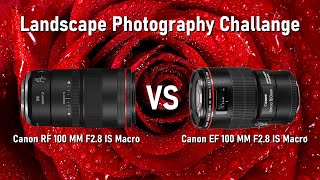 Canon RF 100MM Macro vs Canon EF 100MM Macro  Which one is the better investment [upl. by Stila761]