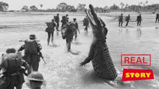 crocodile killed and eaten 1000 Japanese soldiers Real story in Hindi  massacre of ramree island [upl. by Enrika]