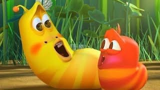 LARVA  LARVA BEBÉS  2018 Película Completa  Dibujos animados para niños  WildBrain [upl. by Aidnic]