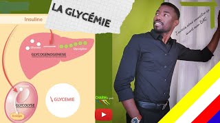 Épisode 12 LA RÉGULATION DE LA GLYCÉMIE [upl. by Anidem]