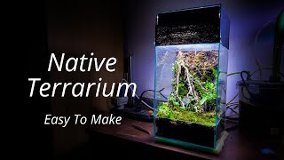 Native Terrarium complete Set up Tutorial খুব সহজে বানিয়ে নিন [upl. by Fara]