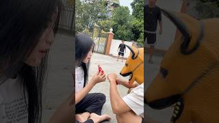 Im sorry pregnant woman hungry😿🥗dog doglover cute pets animals shortvideo [upl. by Henn]