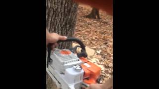 Bill Hibbs Logger Birds Eye View Cutting Ash Tree Real Axmen [upl. by Nosdivad617]