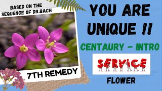 YOU ARE UNIQUE   CENTAURY  INTRO  BASED ON THE SEQUENCE OF DRBACH  7th REMEDY [upl. by Clabo]