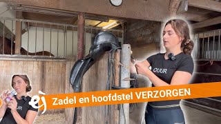 HOW TO Zadel en hoofdstel verzorgen  5  EPPLEJECK [upl. by Inirt]