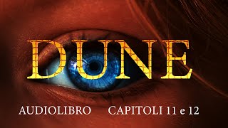 DUNE Capitoli 11 e 12  Audiolibro in italiano [upl. by Mcbride]