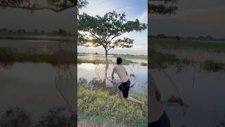 Catching fish in the river  Vlog fishing  Net fishing viralshort fish fishing fishingtips [upl. by Nortna434]