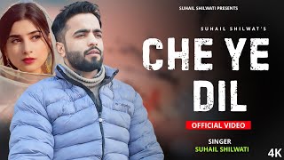 Che Ye Dil Muen Chuya Dilber 😞💔 ll Kashmiri Heart Broken Song ll Suhail Fayaz Shilwati [upl. by Dnalwor]