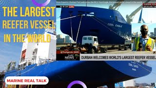 The Largest Reefer Vessel in the WorldMarine Real Talk Chief Boyet [upl. by February]