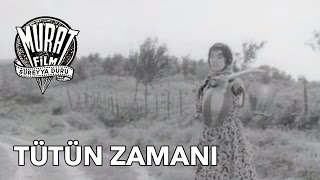 Tütün Zamanı Yılmaz Güney  FULL [upl. by Larianna988]