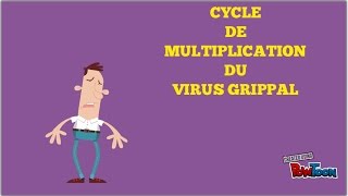 Vidéo Le cycle du virus grippal [upl. by Andert719]