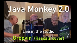 Java Monkey 20 rehearsal quotGroovinquot The Rascals cover LIVE [upl. by Aneladdam623]