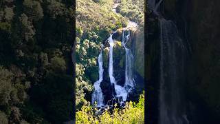 Waterfalls in Waiotapu Taupo New Zealand nature travel nznature newzealand waterfall forest [upl. by Golding]