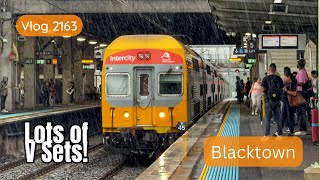 Sydney Trains Vlog 2163 Blacktown with Lots of V Sets [upl. by Dammahum]