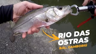 ROBALOS NA SUPERFÍCIE  Testando a isca MORINHO STICK no Rio das Ostras centro de Bal Camboriú [upl. by Rowney]