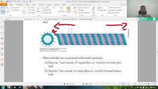 general histology revision  microtubules and epithelium [upl. by Ilario]