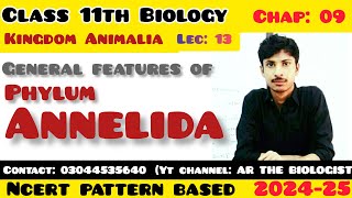 General characterstics of Phylum Annelida Segmented worms Kingdom Animalia Invertebrates Zoology [upl. by Hannus]