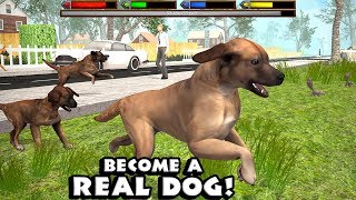 Ultimate Dog Simulator by Gluten Free Games  Part 1  Android Gameplay HD [upl. by Drofla]