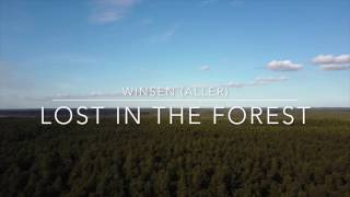 Winsen Aller  Lost in the Forest [upl. by Grishilda]