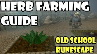 Beginners Herb Farm Running Guide Old School Runescape [upl. by Hector]