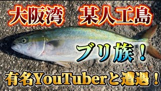 あの有名YouTuberにまさかの遭遇！大阪湾某人工島で初のブリ族ゲット！ [upl. by Ahsienar37]