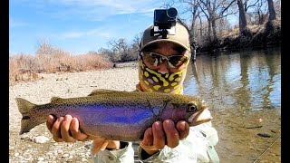 Picky Trout Arkansas River Tailwater Fishing Feb 2024 AK Nymphing System Success [upl. by Jeannette]