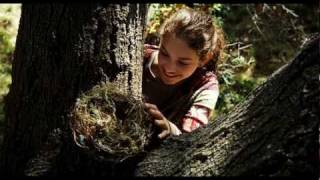 The Odd Life Of Timothy Green  trailer 1 US 2012 [upl. by Caritta]