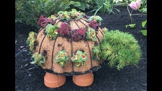 How To Make Timmy the Topiary Turtle [upl. by Stclair]