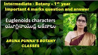 Intermediate 1st year BOTANY  Euglenoids Characters  Aruna Punna [upl. by Eldwun]