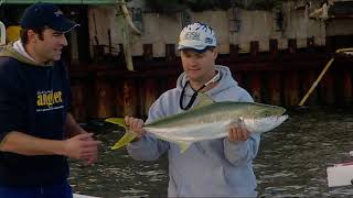 IFISH Port Augusta Kingfish [upl. by Edroi]