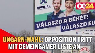 UngarnWahl Opposition tritt mit gemeinsamer Liste an [upl. by Hauhsoj970]