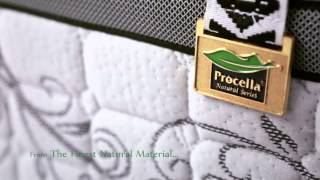 Procella Mattress [upl. by Pizor]