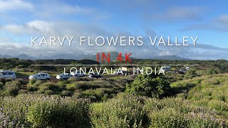 Karvy flowers valley ride Lonavala 29th Sept 2024 in 4K [upl. by Lrat]