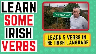 Learn Irish Verbs  5 Verbs for Conversational Irish  Irish Language Lessons [upl. by Asemaj306]