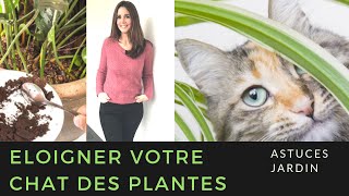 Comment éloigner votre chat des plantes [upl. by Gilmore566]