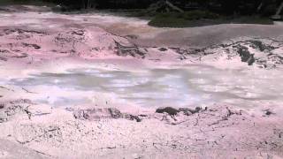 Boiling Mud Pit  HD Fountain Paint Pot  Yellowstone National Park [upl. by Anelej384]