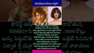 SSMB29 Movie Update ssmb29update shorts maheshbabu naomi trending youtubeshorts shortvideo [upl. by Crean]